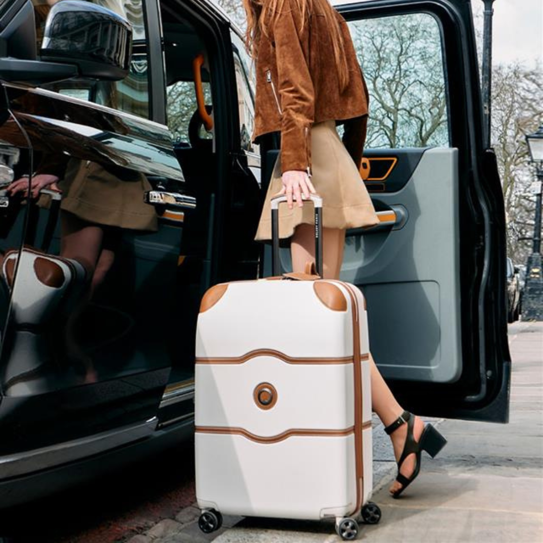 Check In Luggage
